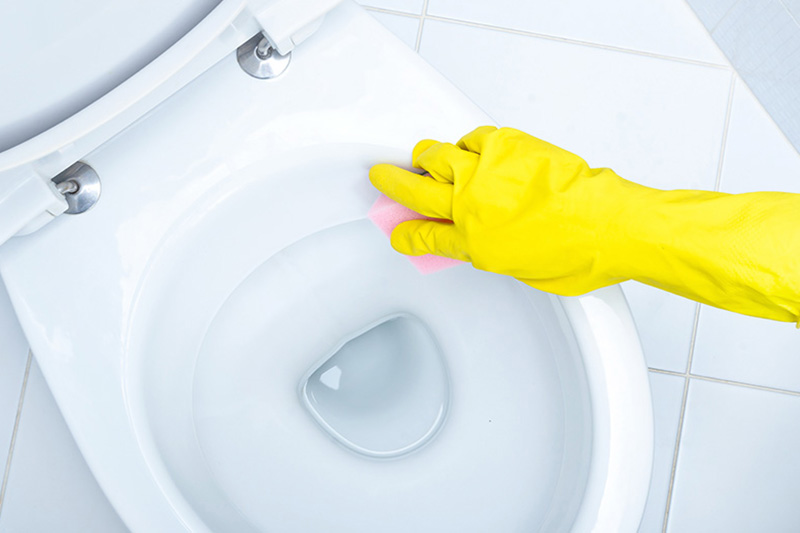 Toilet Cleaning